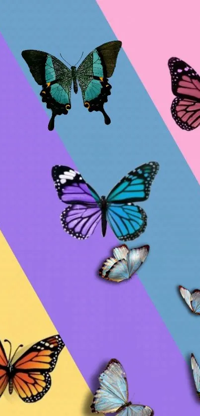 Colorful butterflies on pastel striped background wallpaper.