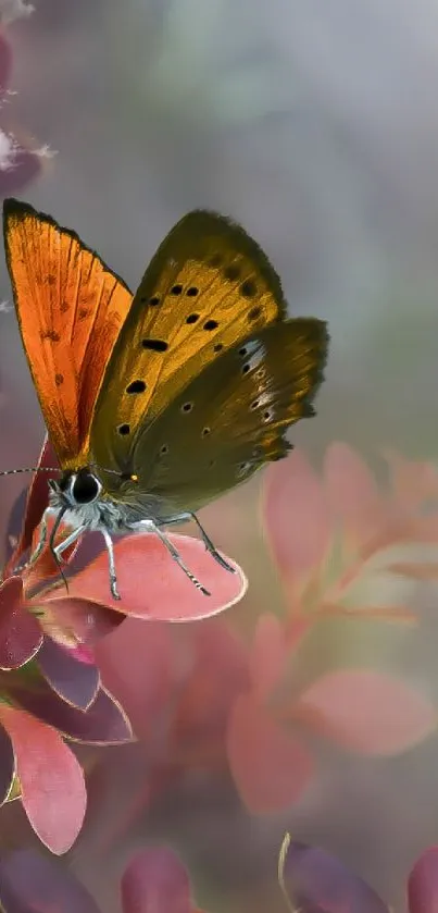 Close-up of butterfly on red leaves in artistic wallpaper.