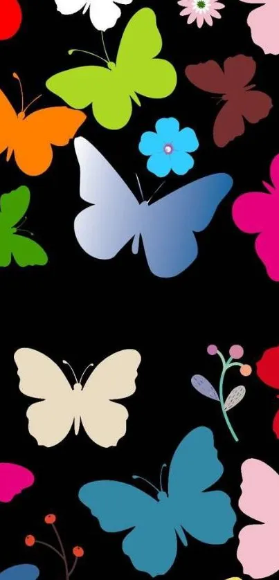 Vibrant butterflies on a black background.