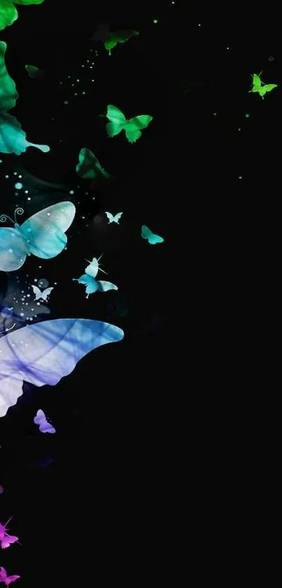 Colorful butterflies on black background wallpaper.