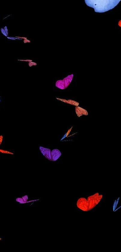 Colorful butterflies on a black background, perfect for mobile wallpaper.