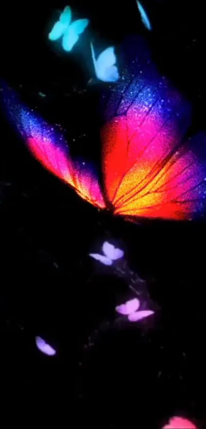 Colorful butterfly on dark background wallpaper.