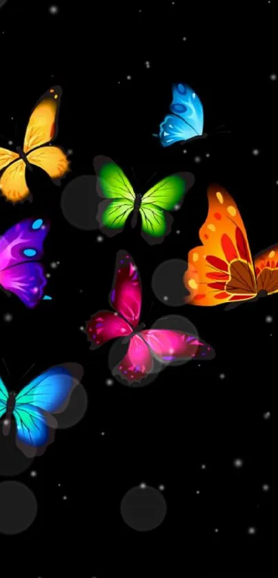 Colorful butterflies on black wallpaper backdrop.