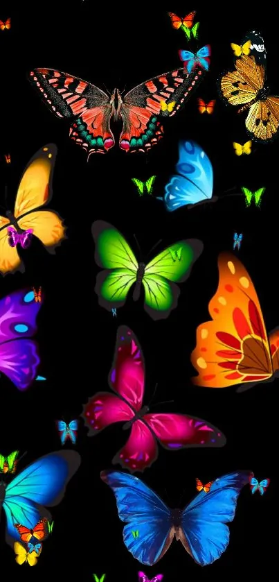 Colorful butterflies on a black wallpaper for mobile devices.