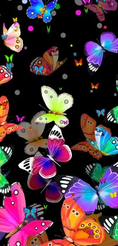 Colorful butterfly wallpaper with black background.