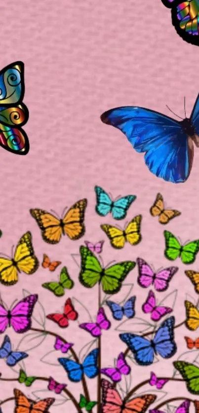 Colorful butterflies on a pink background mobile wallpaper.