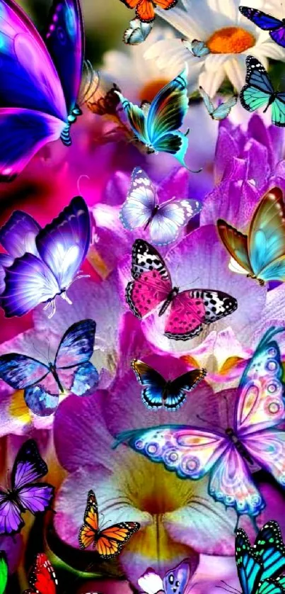 Colorful butterfly and floral wallpaper with vibrant hues.