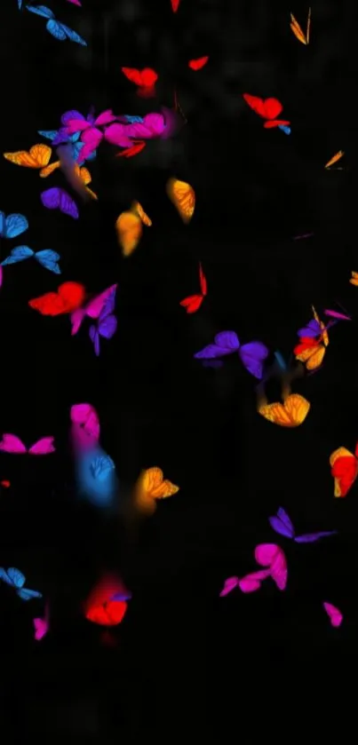 Colorful butterflies on a black background mobile wallpaper.