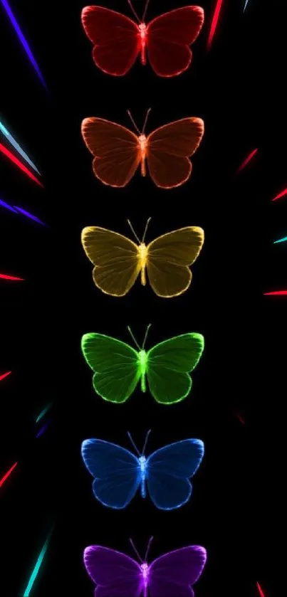 Multicolored butterflies on a black background.