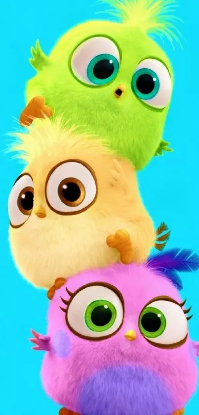 Three colorful cartoon birds stacked cutely on a cyan background.