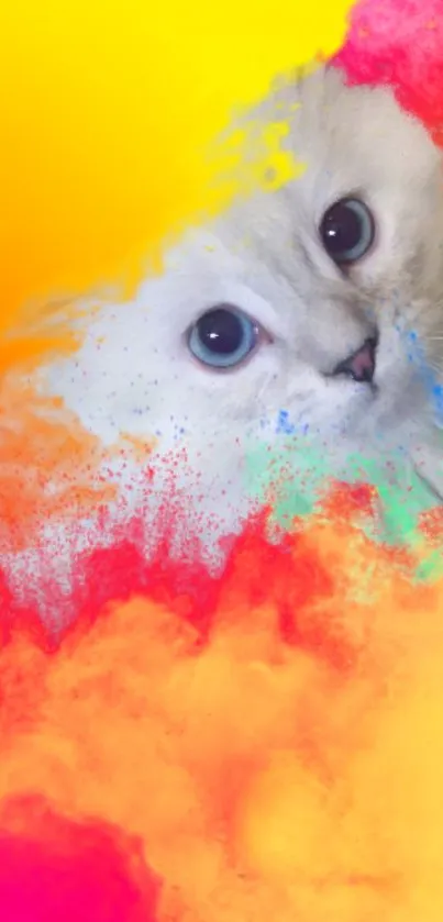 Colorful cat art wallpaper with vibrant splashes and a curious feline look.