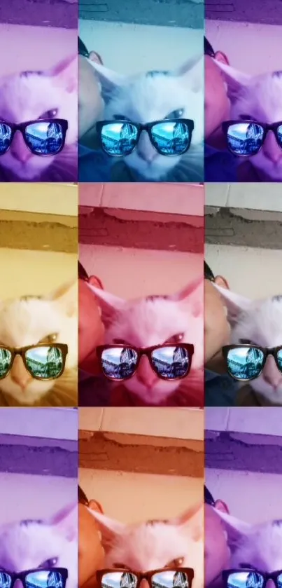 Colorful collage of a cat wearing sunglasses in vibrant hues.