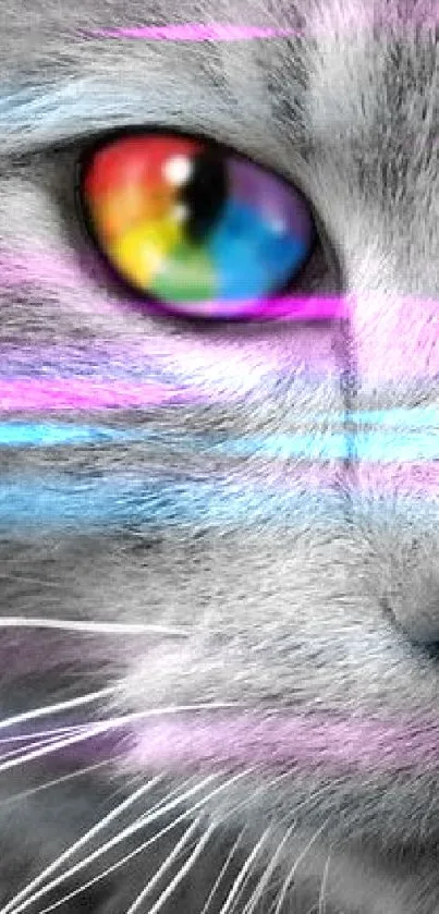 Close-up of a cat's eye with a rainbow effect on a gray background.