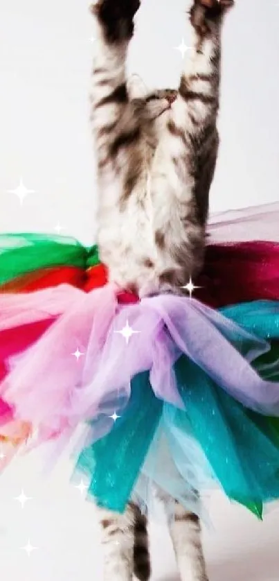 Playful cat in colorful ballet tutu raising paws.