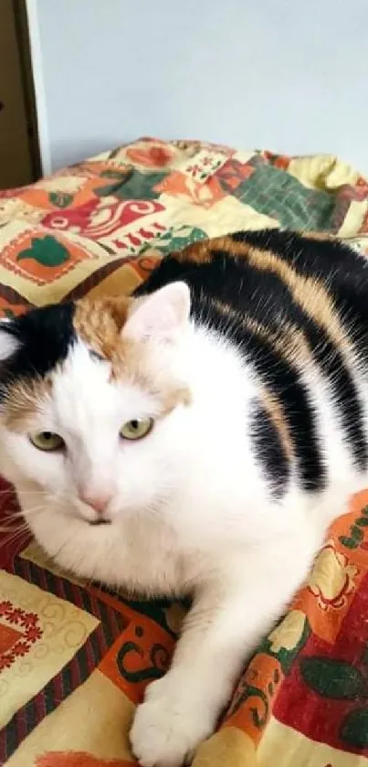 Calico cat lying on colorful quilt, perfect for vibrant wallpaper.