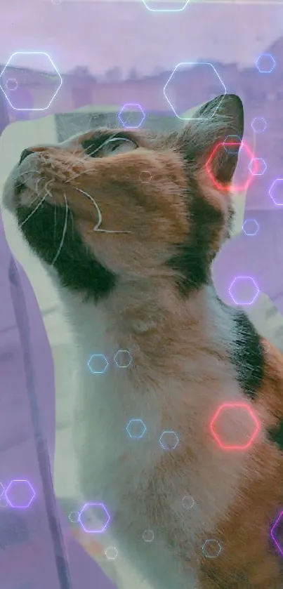 Cat with neon glow and hexagonal patterns in purple hues.