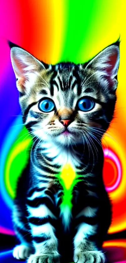 A cute kitten with blue eyes and a vibrant rainbow background.