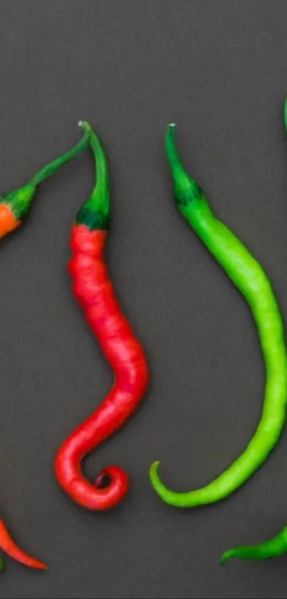 Colorful chili peppers on dark background wallpaper.