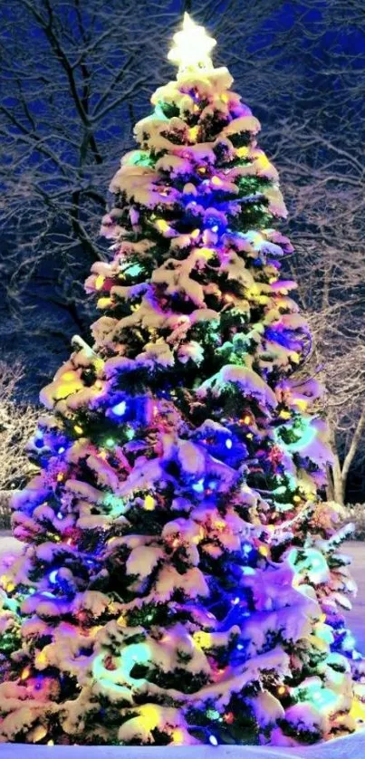 Christmas tree with colorful lights in snowy landscape.