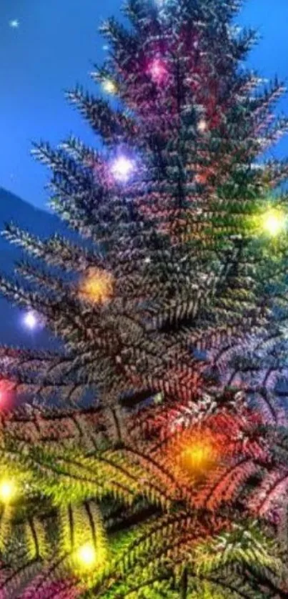 Colorful Christmas tree lights in night sky.