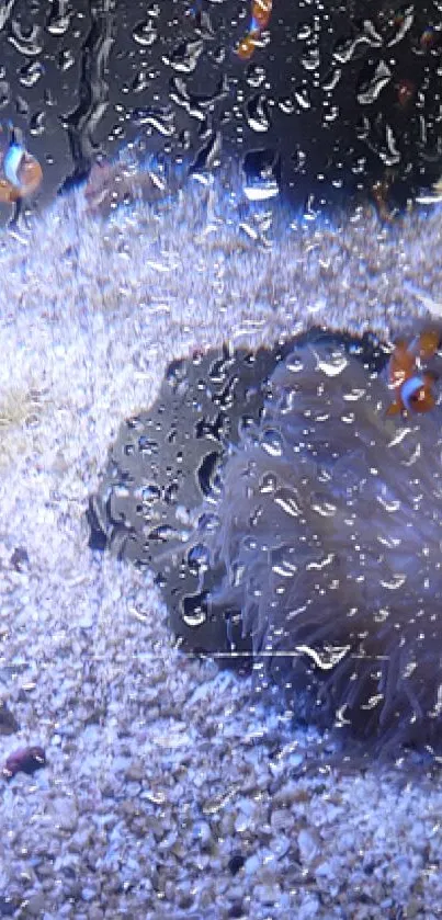 Clownfish swimming among coral reefs in a vibrant underwater scene.