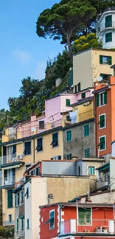 Colorful buildings along a hillside in a coastal village scene.