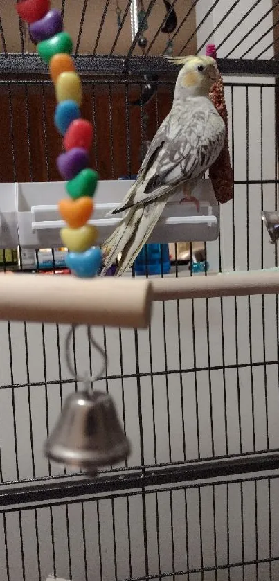 Cockatiel perched in a colorful cage with beads and bells.