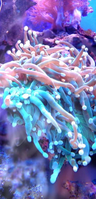 Vibrant underwater coral reef with diverse marine life.