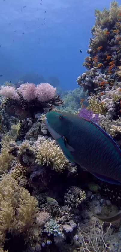 Vibrant coral reef with colorful fish swimming in a clear blue ocean.