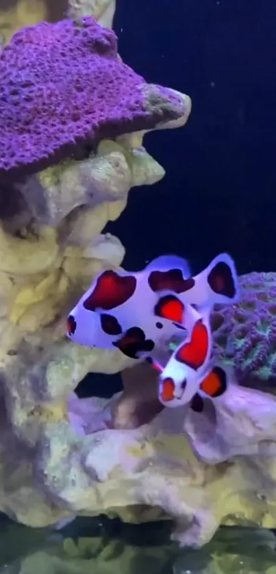 Colorful coral reef scene with fish.