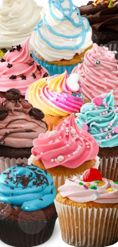 Colorful cupcakes arranged in a delightful display.