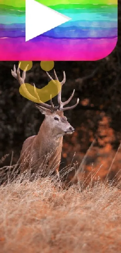 Deer in a field with a colorful play button above.