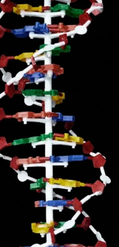 Colorful DNA strand against dark background.