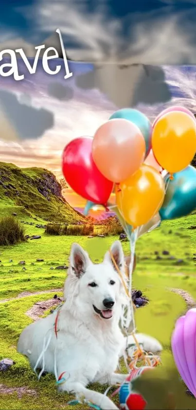 Happy dog with balloons in lush green landscape at sunset.