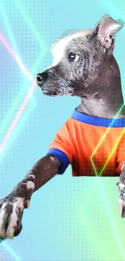 Unique dog in orange shirt on pastel background wallpaper.