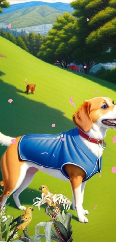 Dog in a vibrant meadow wearing a blue jacket.