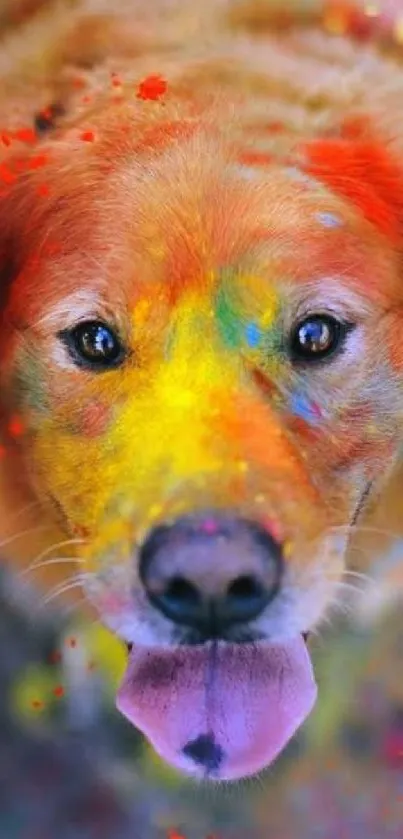 Colorful dog portrait with vibrant paint splashes on mobile wallpaper.