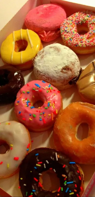 Vibrant collection of assorted donuts in a box.