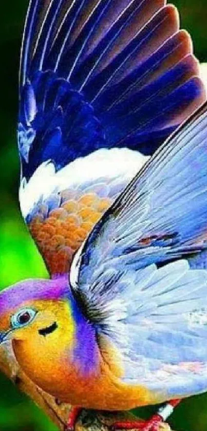 Vibrant image of a colorful dove with vivid feathers on a branch.