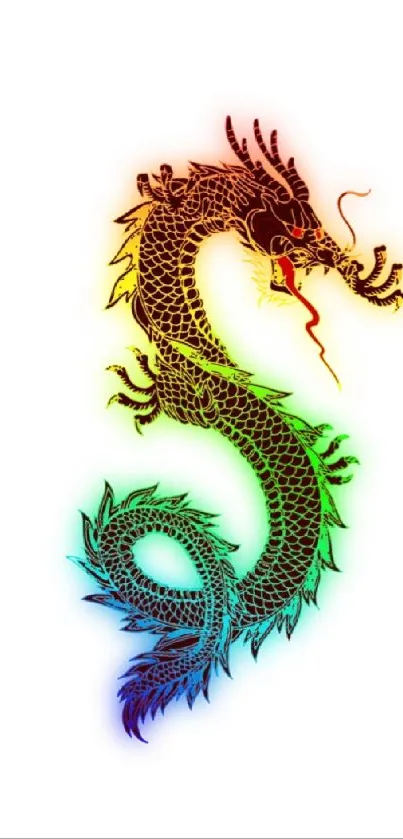 Colorful dragon on a white background wallpaper.