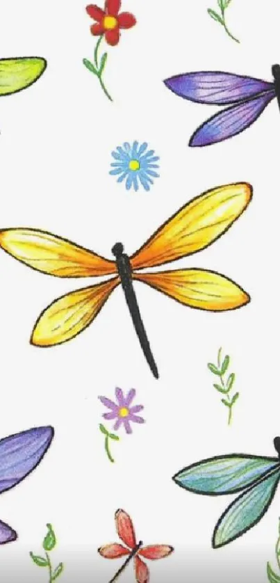 Colorful dragonfly and flower wallpaper illustration.