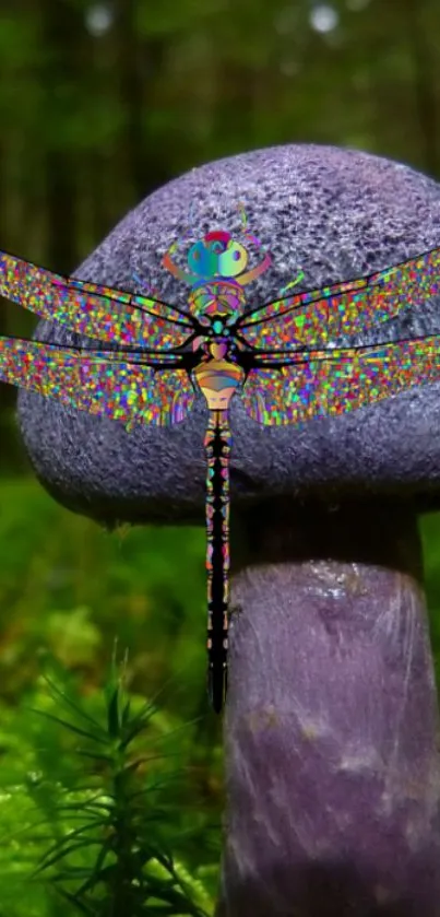 Vibrant dragonfly on a purple mushroom in a lush green forest.