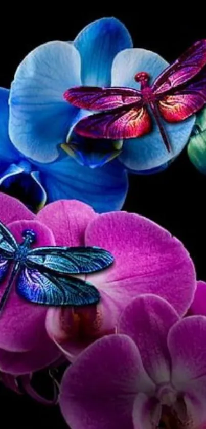 Vibrant dragonflies on colorful orchids with a black background.