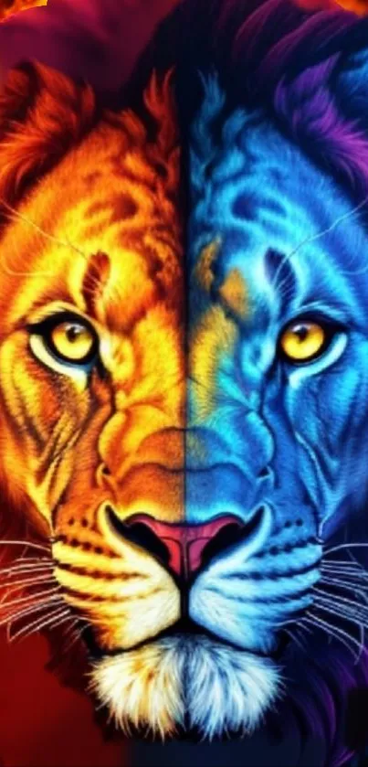 Dual colored lion face wallpaper in vibrant blue and orange hues.