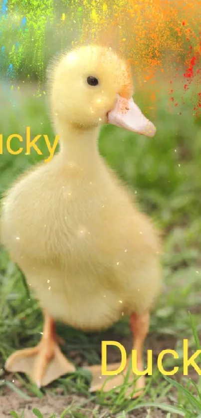 Cute yellow duckling with colorful paint splash on mobile wallpaper.