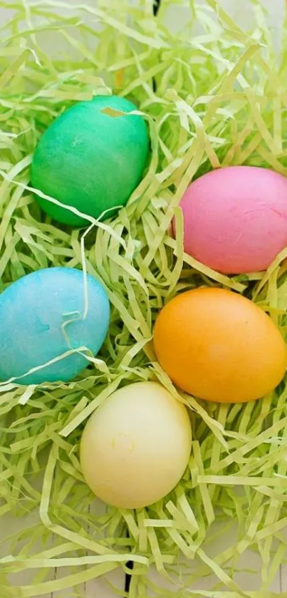 Colorful Easter eggs on green grass background.