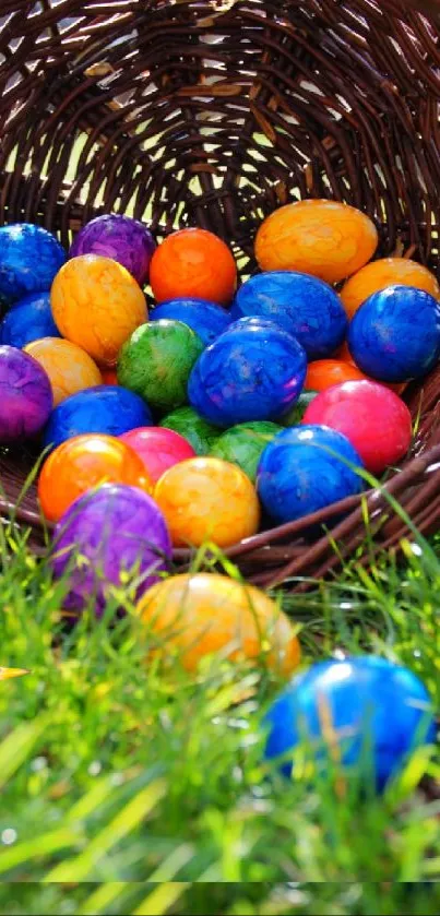 Bright Easter eggs in basket on grass with bird.