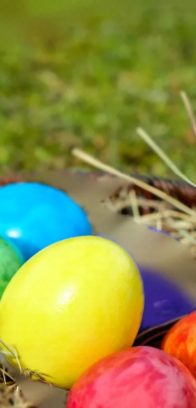 Colorful painted Easter eggs in a nest.
