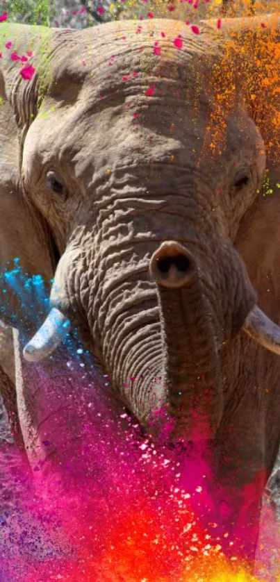 Elephant with vibrant color splash background.