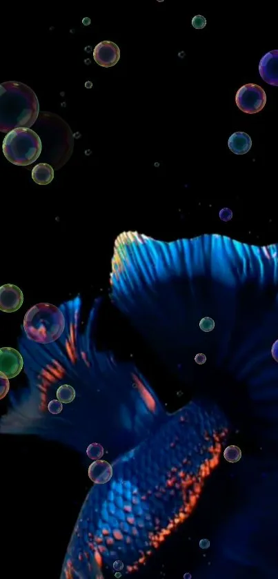 Colorful fish and bubbles on a black background for mobile wallpaper.